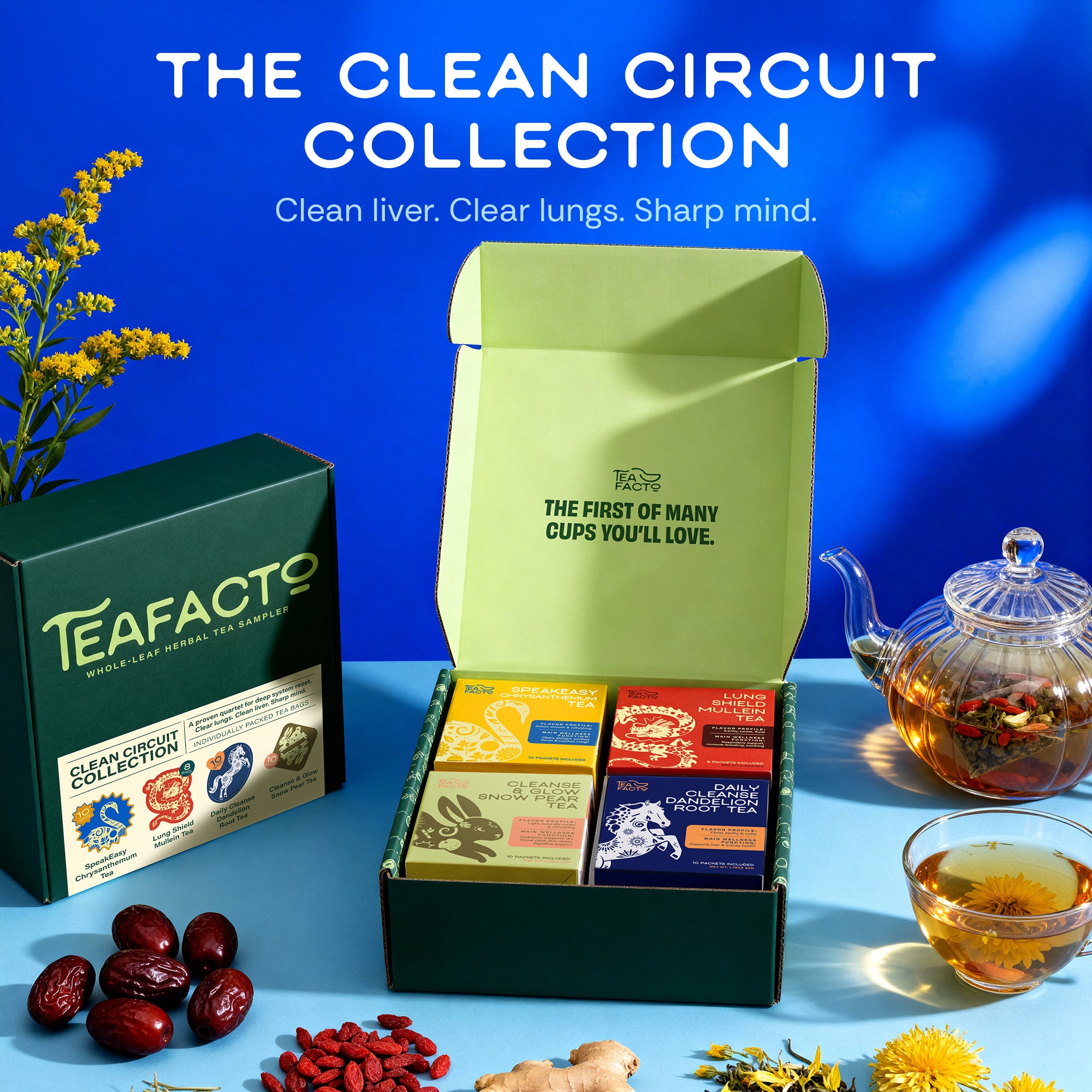 The Clean Circuit Collection | Lungs, Liver Detox