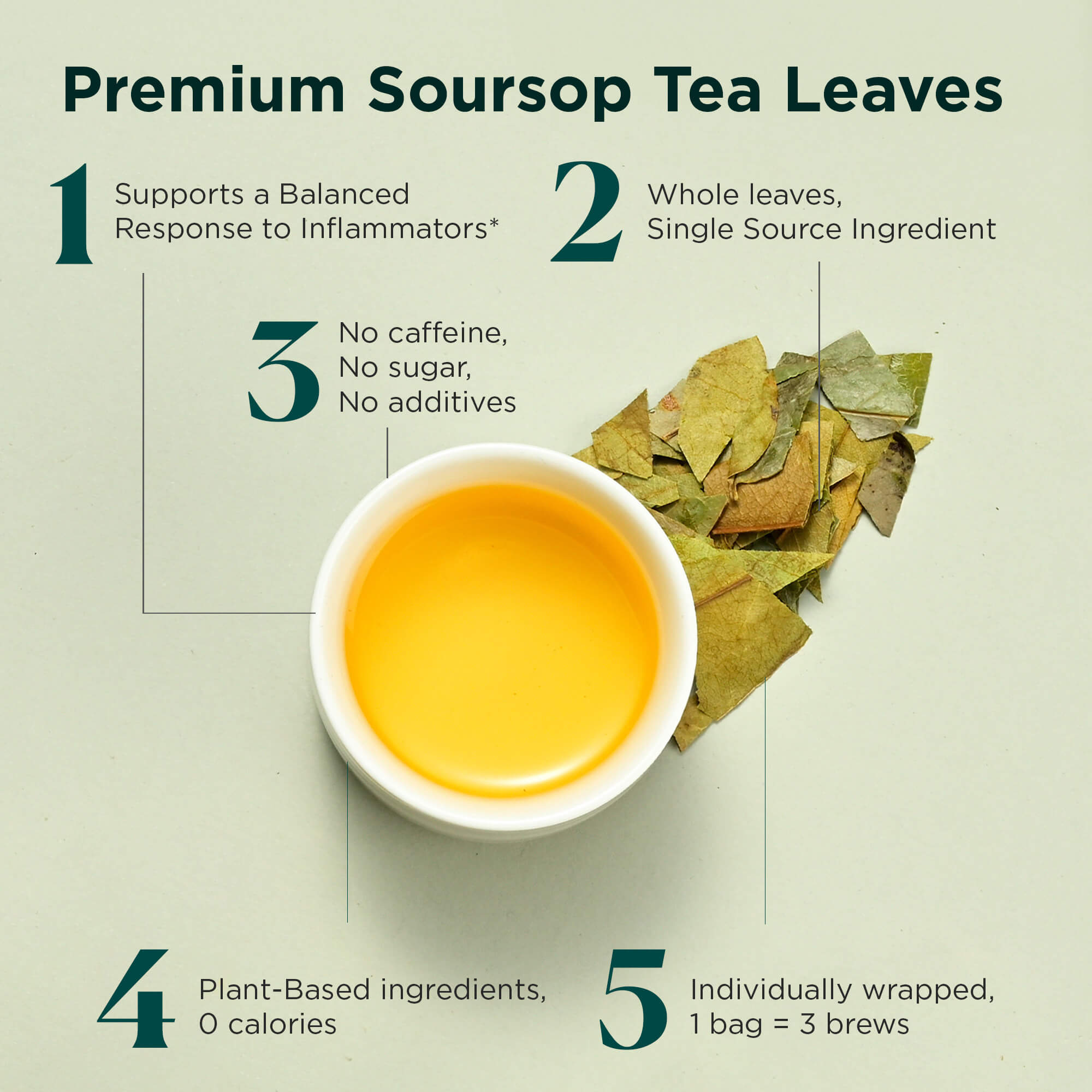 Body Renew Soursop (10 Pack)