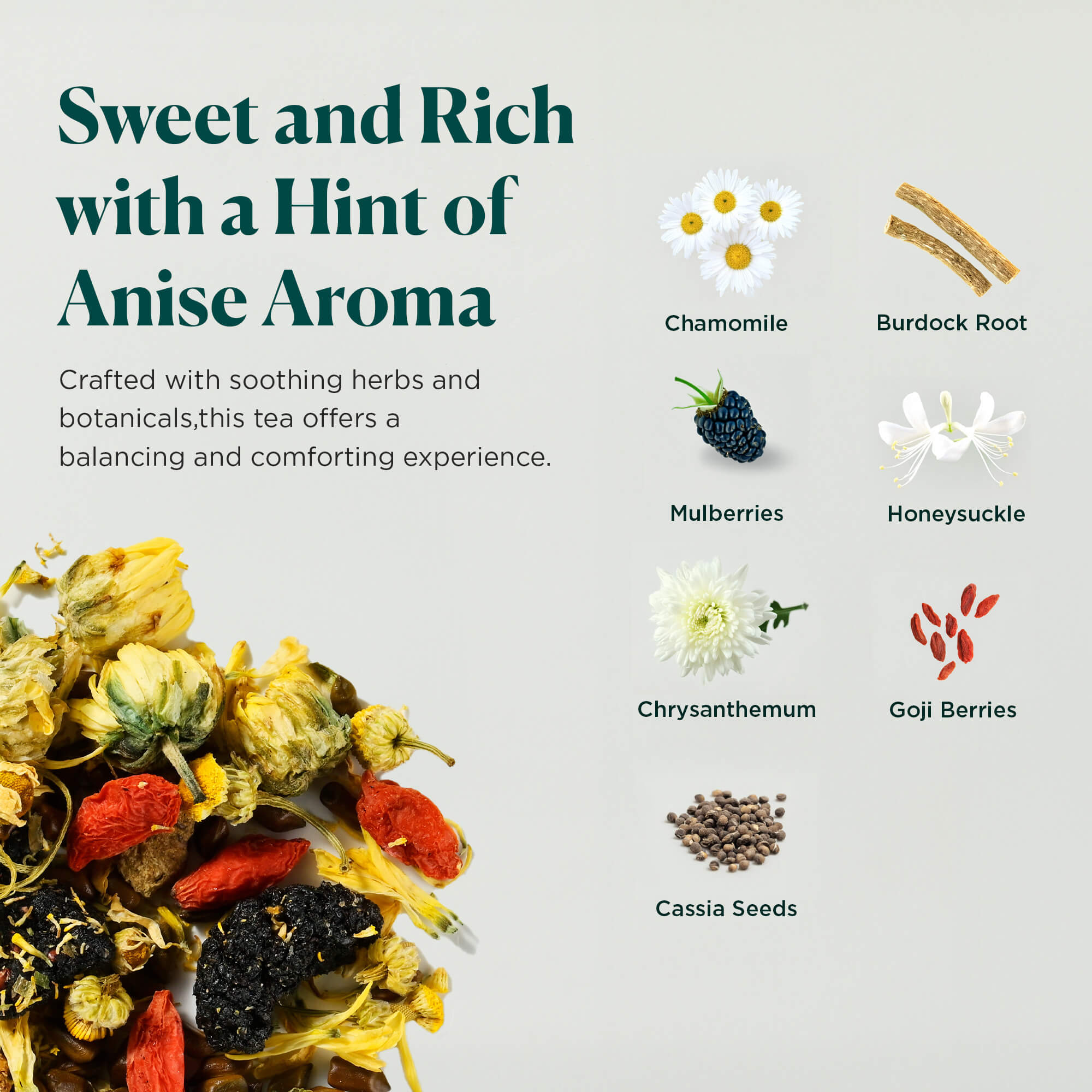 Goodnight Chamomile (10 Pack)