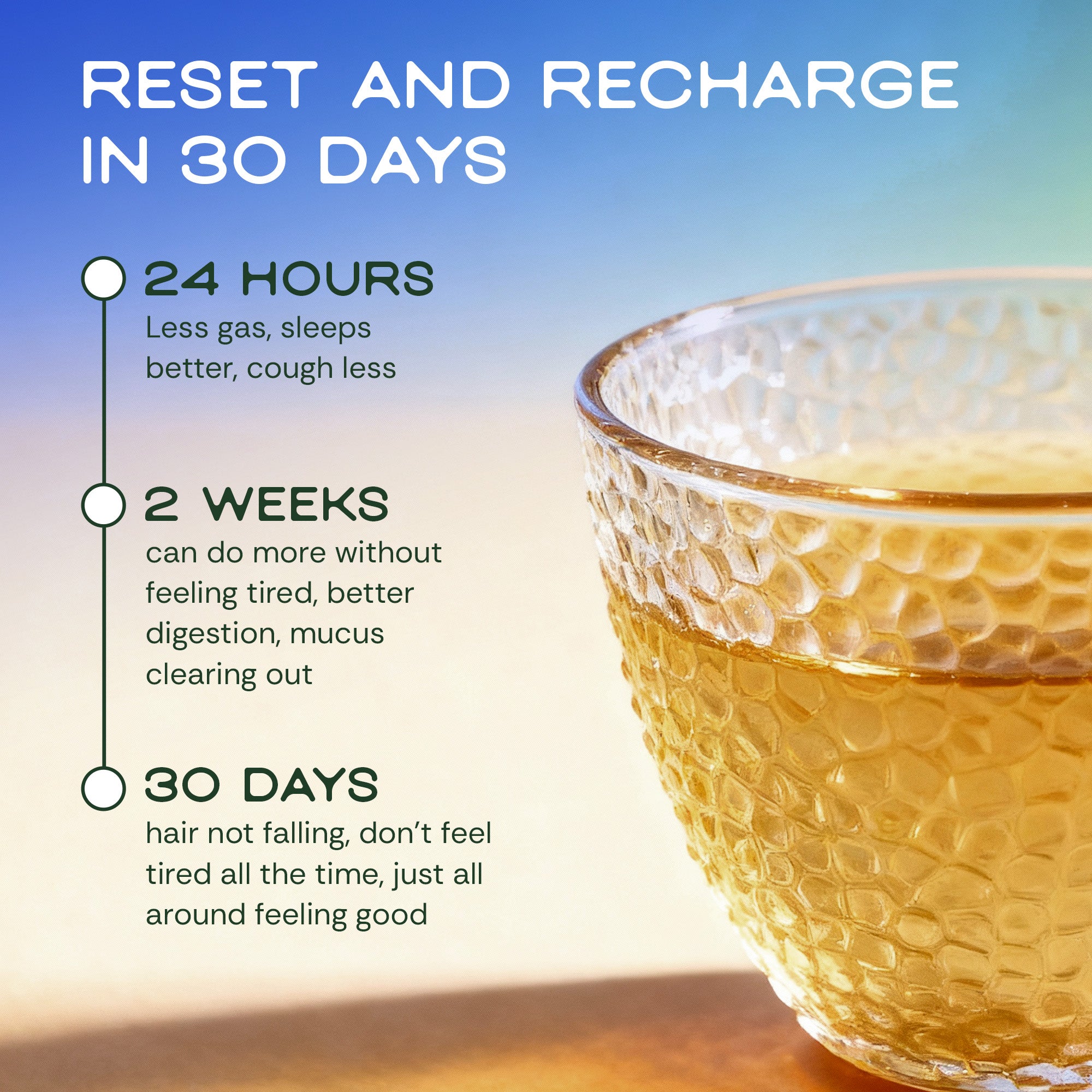 The Clean Circuit Collection | Lungs, Liver Detox