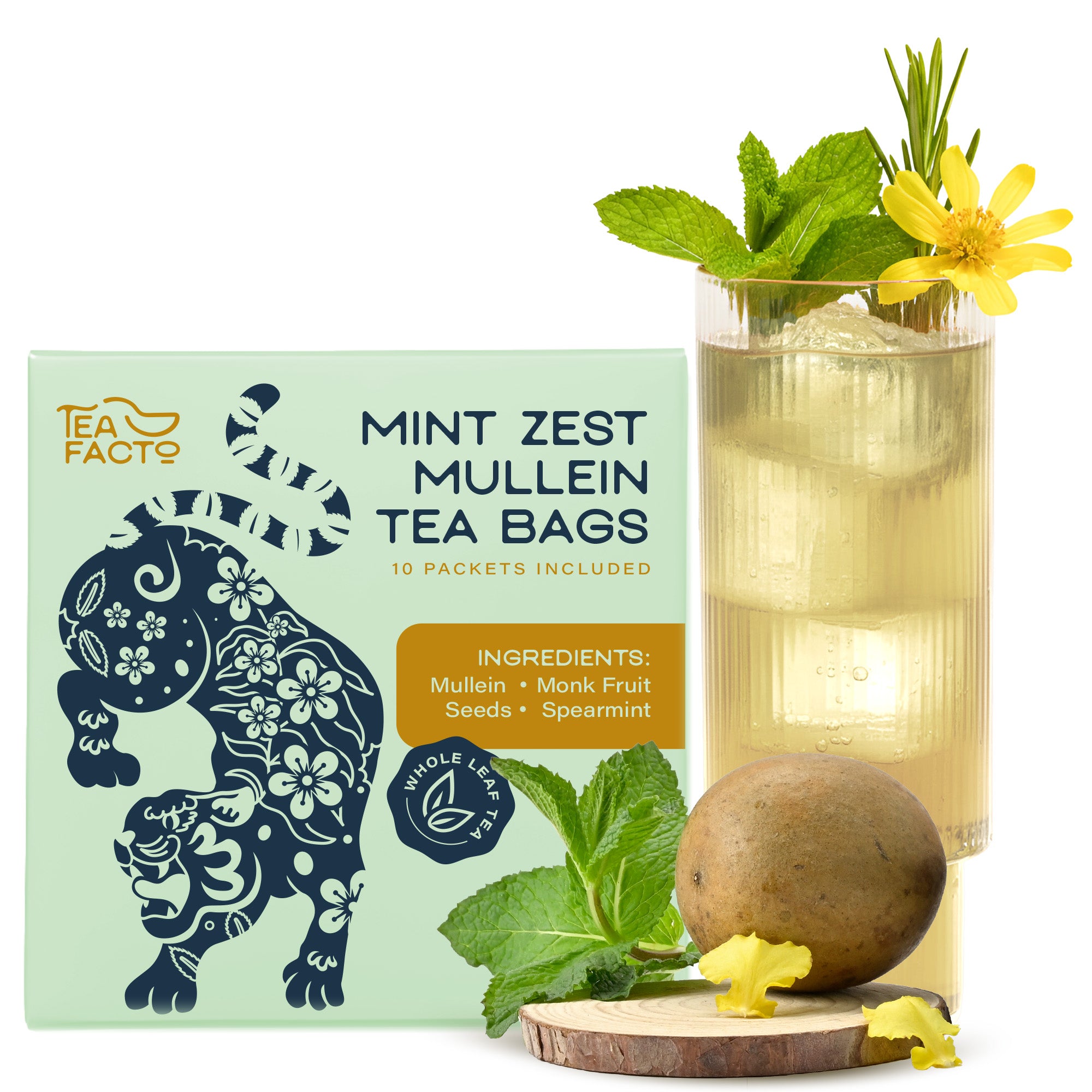 Mint Zest Mullein (30 Pack)