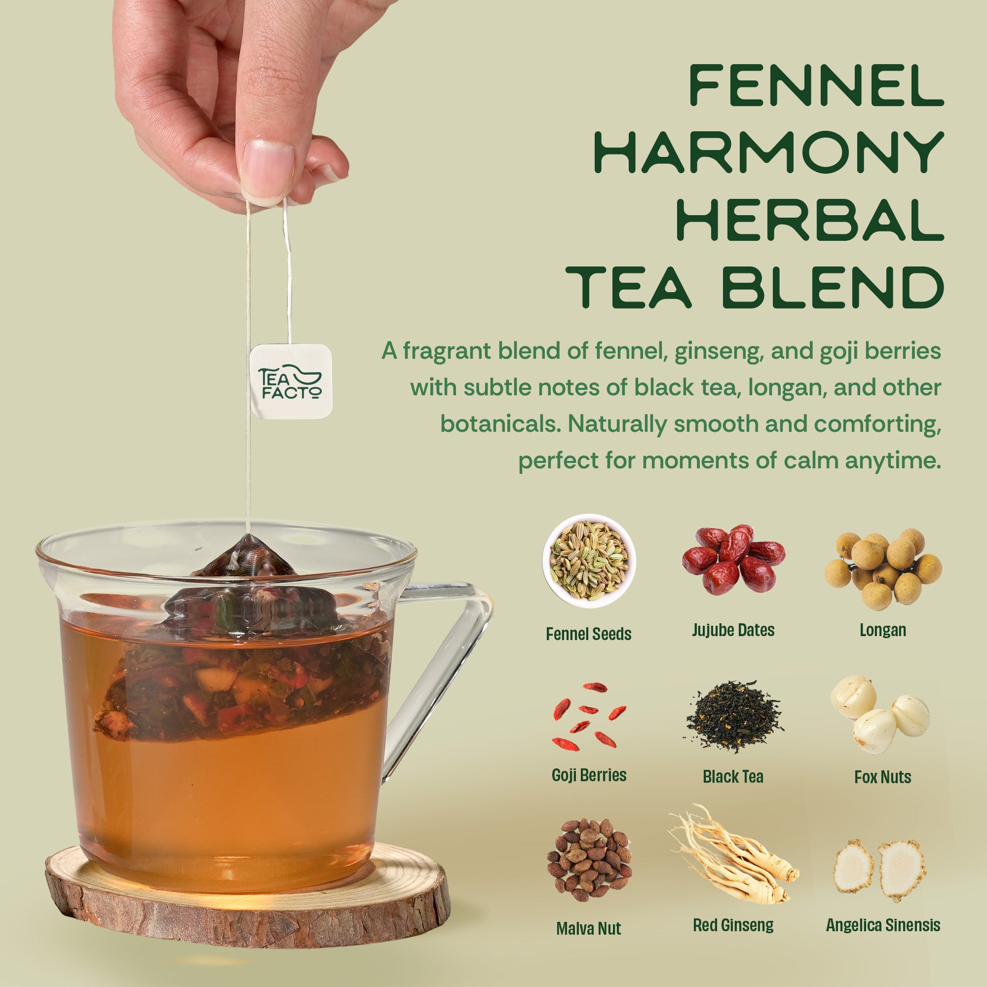 Fennel Treasures Tea | Debloating & Digestion (30 bags)