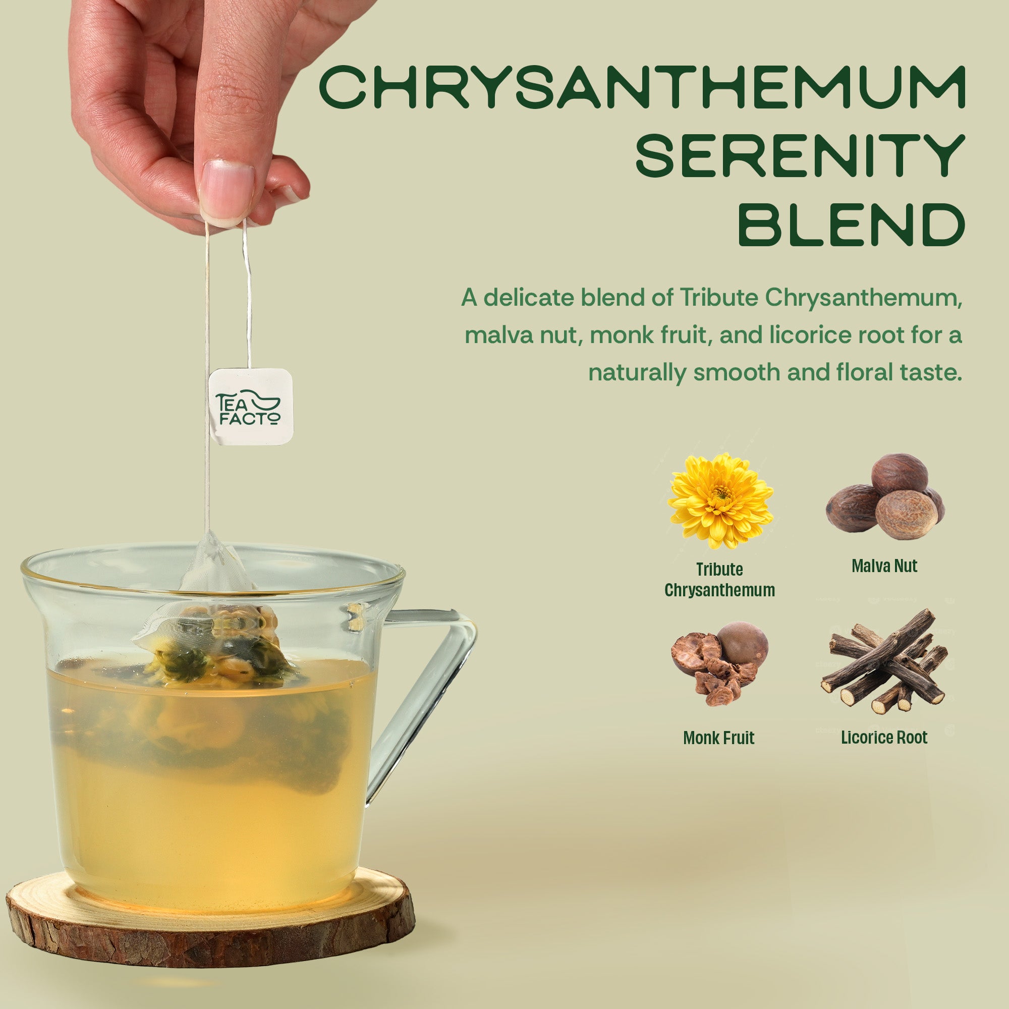 SpeakEasy Chrysanthemum Tea | Liver Detox & Throat Coating (10 bags)