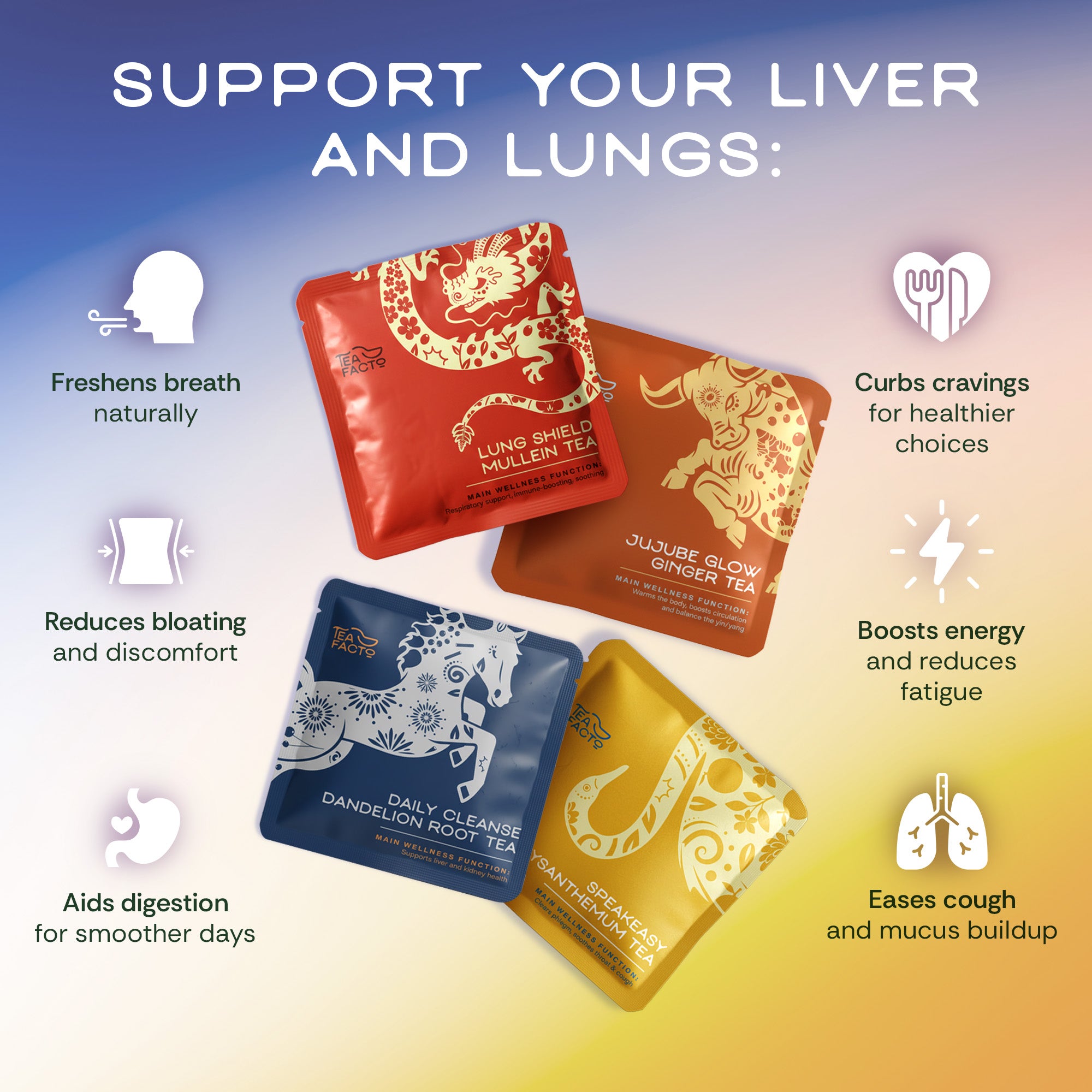 The Clean Circuit Collection | Lungs, Liver Detox