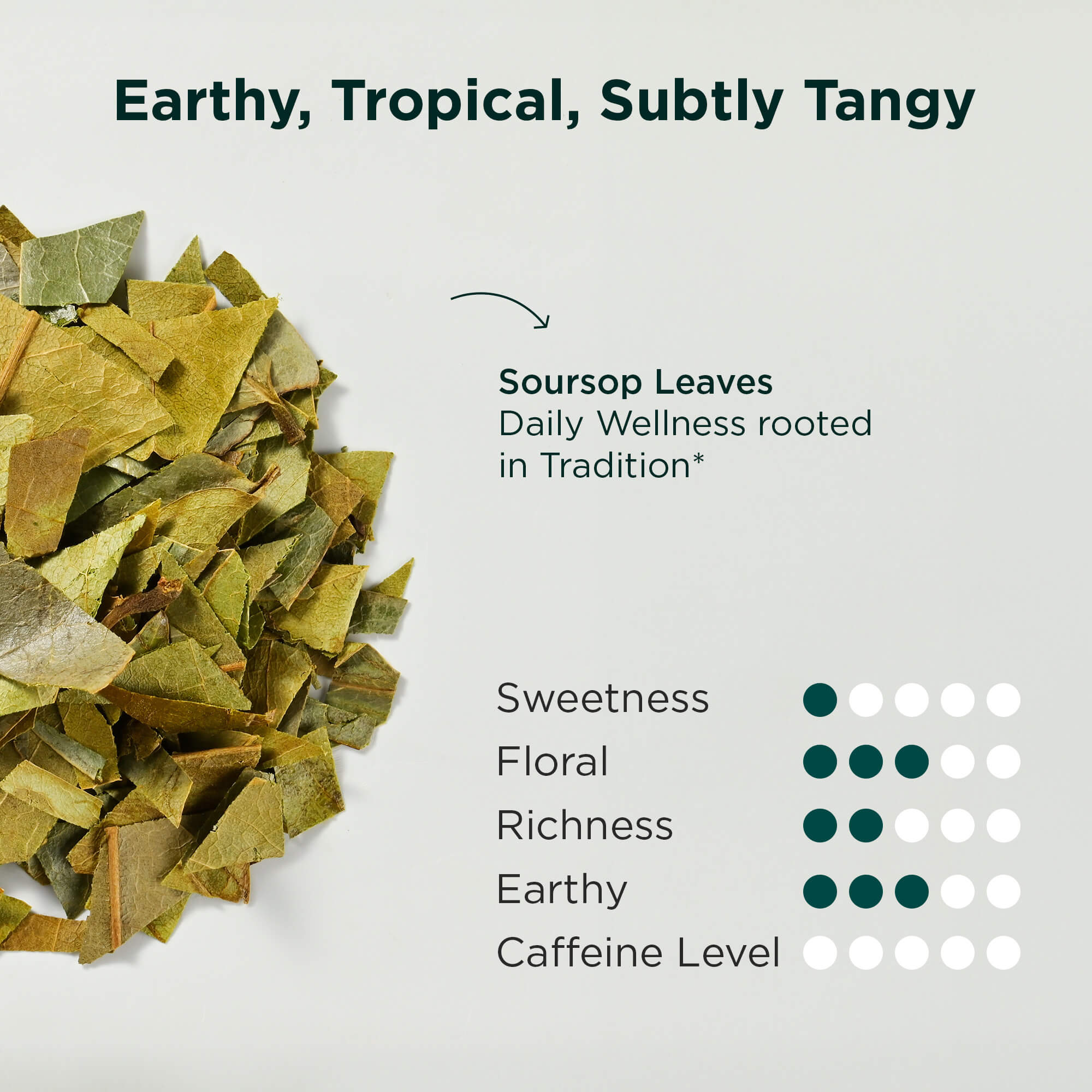 Body Renew Soursop (10 Pack)