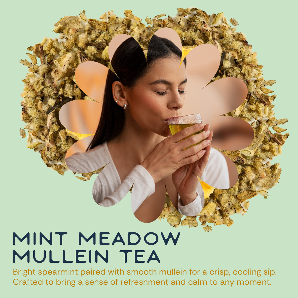 Mint Zest Mullein (30 Pack)