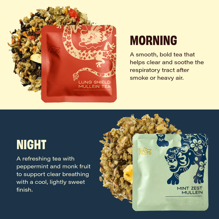 Lung Detox AM/PM Mullein Tea Duo